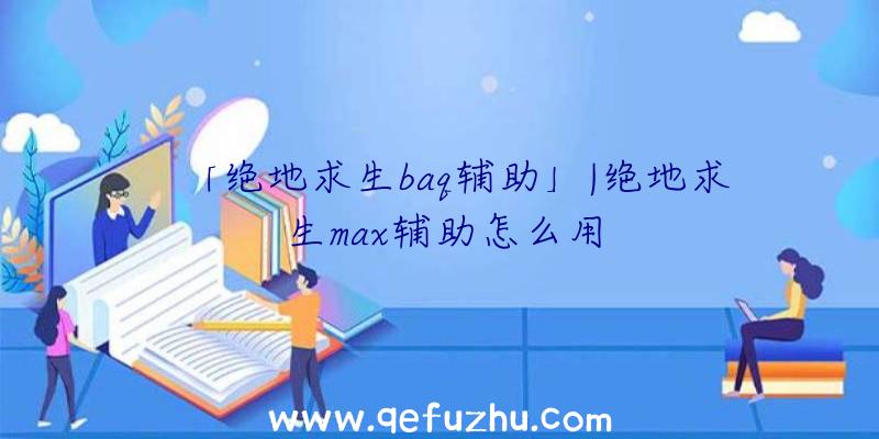 「绝地求生baq辅助」|绝地求生max辅助怎么用